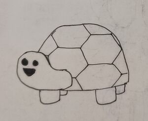 Mr Turtle.jpg